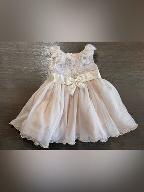 Bonnie Baby Tan Beige Tulle Poofy Puffy Embroidered Dress 12M
